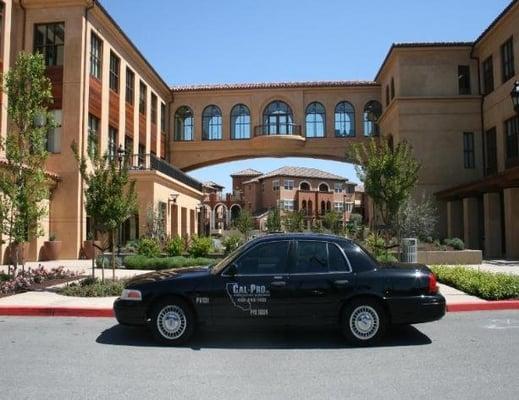 Netflix Executive Protection