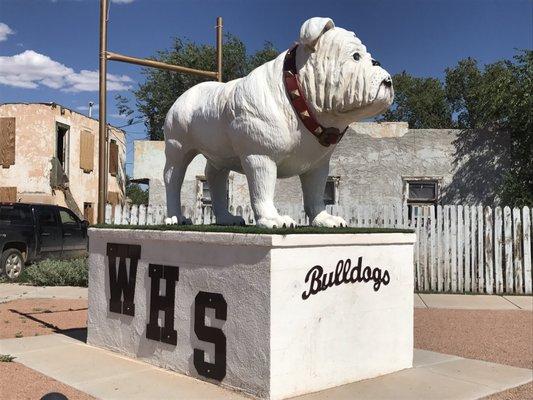 Their mascot definitely shows off his WHS pride!