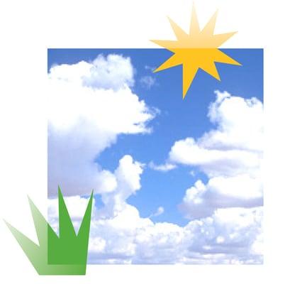 Coleen Patterson Design