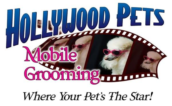 Hollywood Pets