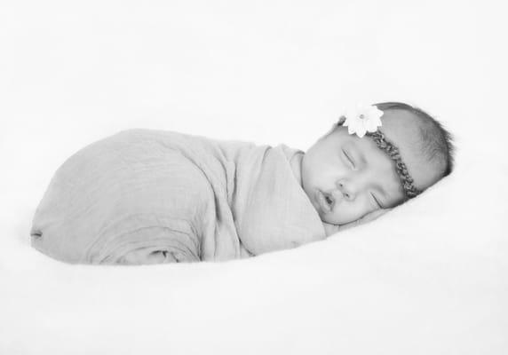 Little Moments Photography