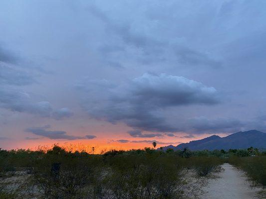 CM Professional Services