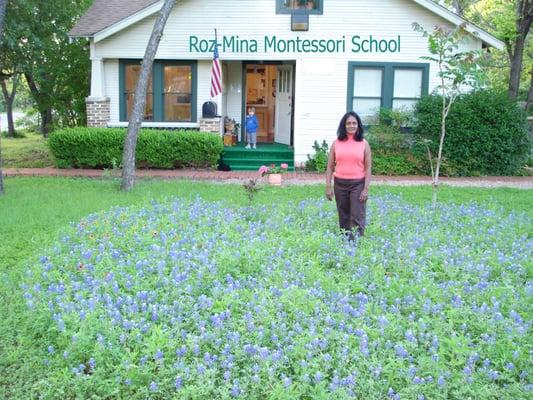 Bluebonnet Season at the school