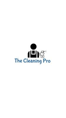 The cleaning pro