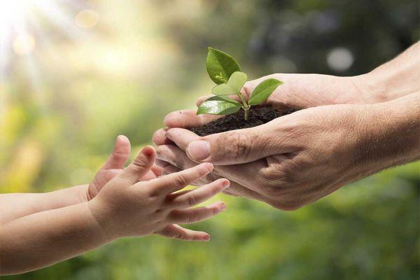 Agosto Environmental Experts