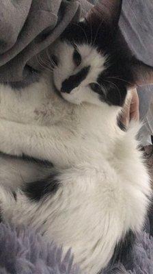 Animal Outreach Humane Society