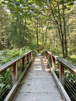 Around the Lake Trail