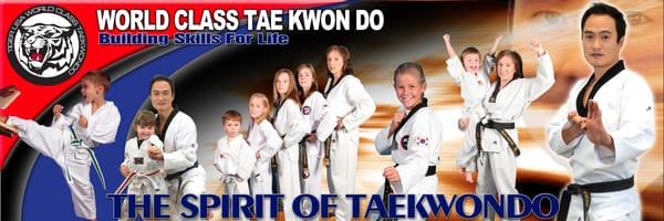 Tiger USA World Class Taekwondo & Family Martial Arts