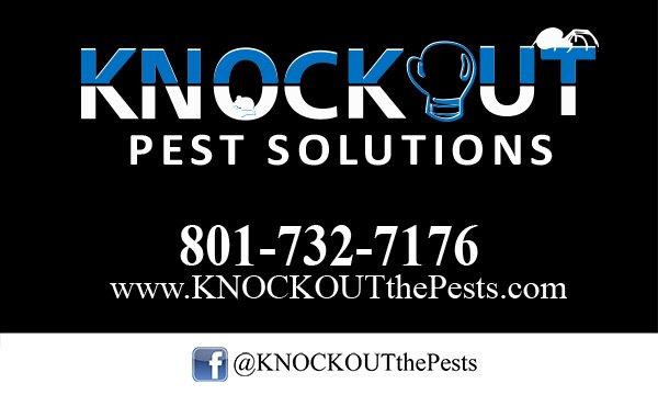 Knockout Pest Solutions
