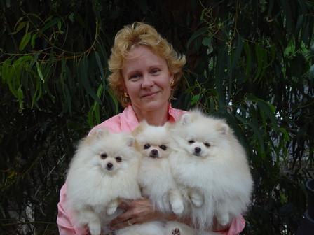 Best Friend's Inn Dog Boarding