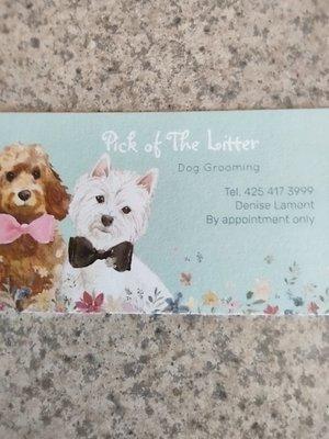 Pick of The Litter Dog Grooming