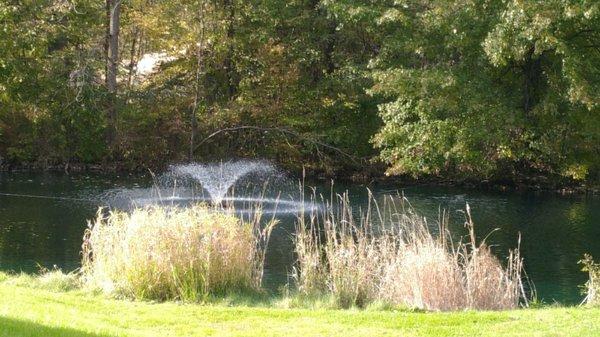 A relaxing atmosphere