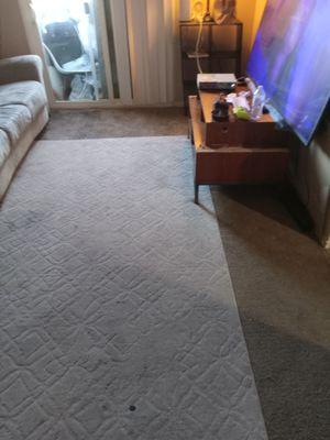 K&D Carpet Cleaning