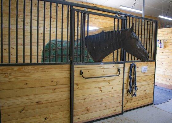 Wind Dance Equestrian Center