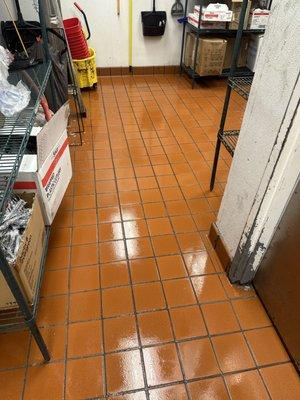 Itzel Cleaning Company