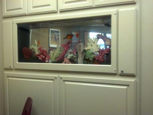 Loma Linda pediatric and Adult Medicine