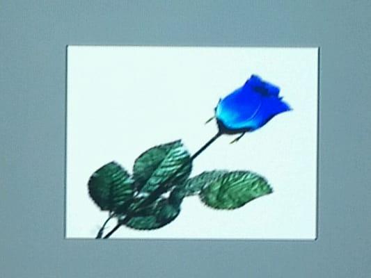 James A Loving,C.Ht, RSc.P