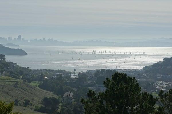 You can see it dead center of that shot, at the edge of land. Okay.. left of dead center.