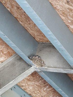 Haverhill Equestrian Center