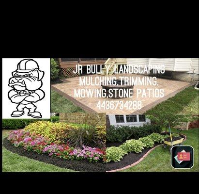 Jr Bully Landscape