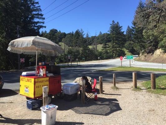 Mr Mustard Hotdog Cart