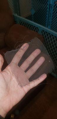 Moore Pest Solutions