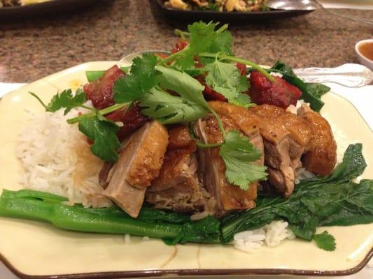 BBQ Pork and Roast Duck with rice