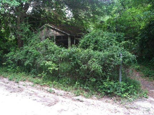 Last Chance Lawn Care