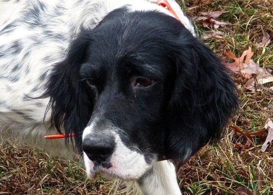 Northside Feed & Farm Supply