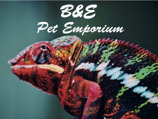 B&E Pet Emporium
