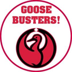 Goose Busters
