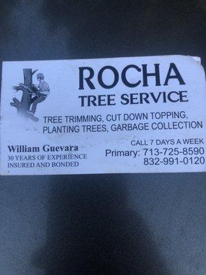 Rocha Tree service