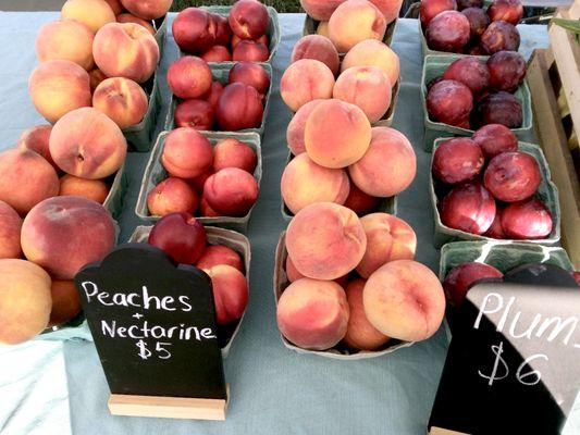 Foot Hill Fruit Farm