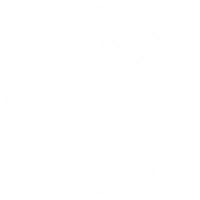 Lionstrong Athletics