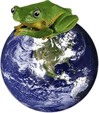 Organic Pest and Termite Control, Rodent exclusion.