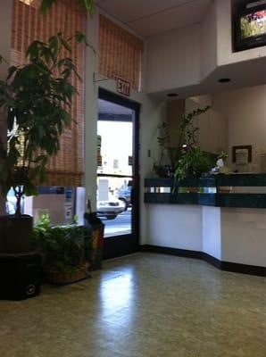 Sobrepena Maria Consuelo DMD