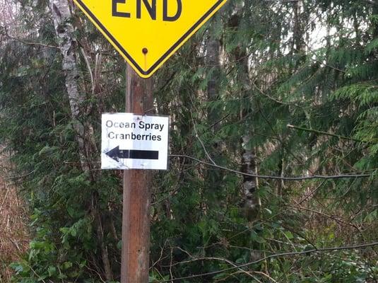 Ocean Spray Cranberries