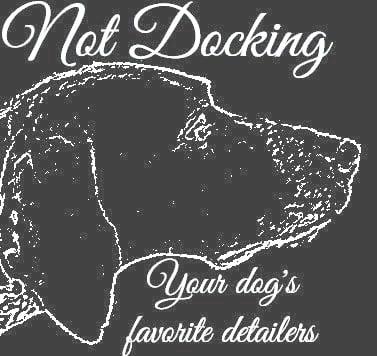 Not Docking Car Detailers