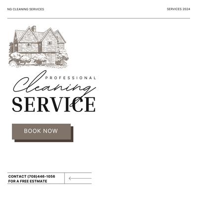 Professional Cleaning Service