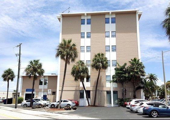 Tampa Natural Pest Management