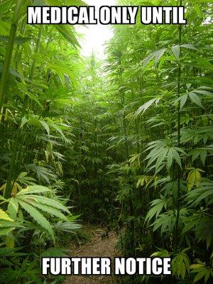 We are medical only until further notice.