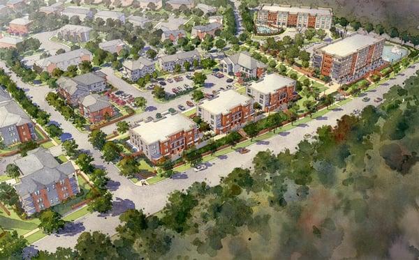 Zanetta Illustration