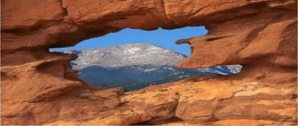 The Counseling Portal