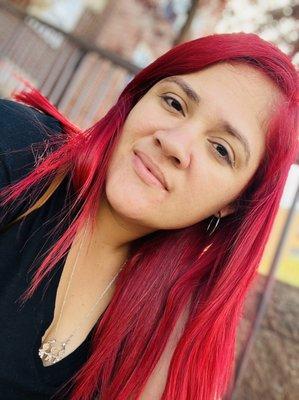 Premium High Carpet Cleaning