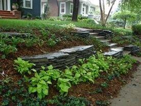 West Fork Landscape and Tree Care