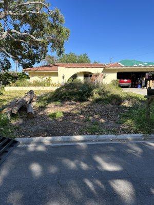Shady Oak landscapes
