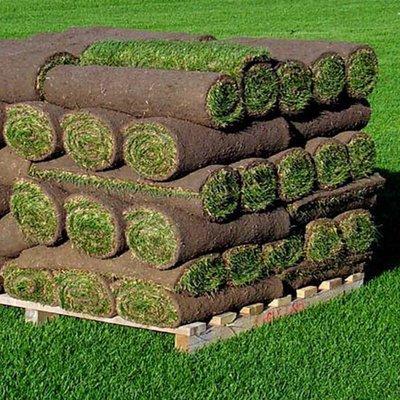 East Coast Sod