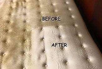 All Pro Carpet Cleaners