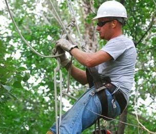Jimmy's Tree Service
