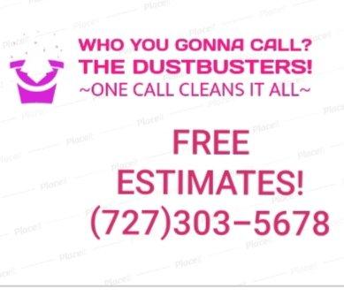 The DustBusters-Pinellas